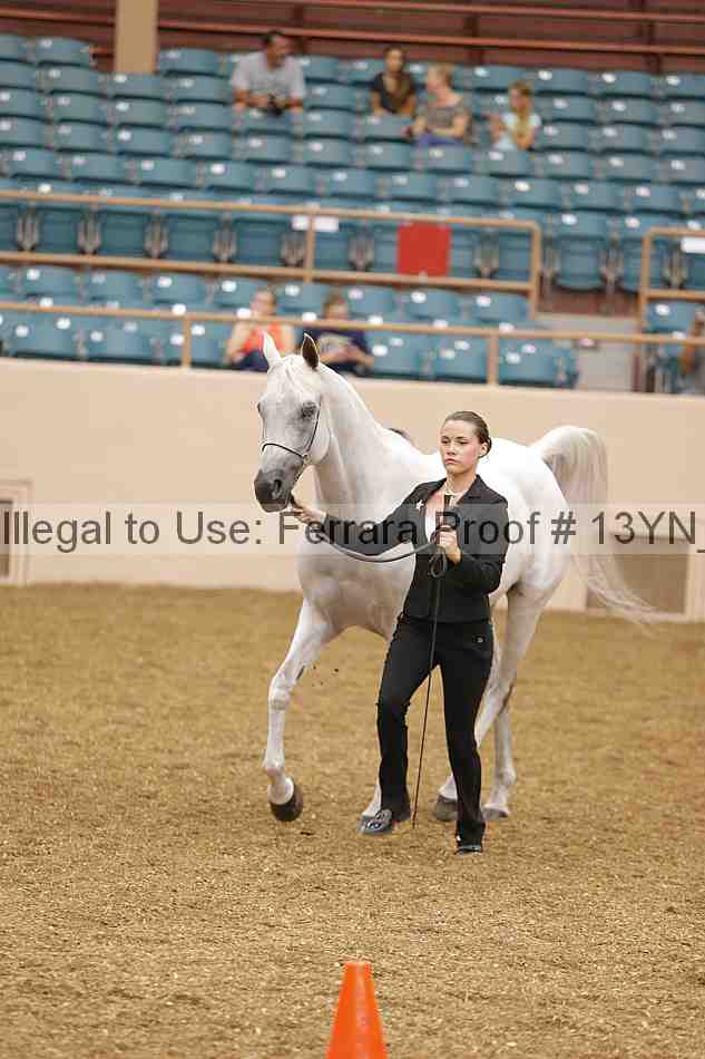 Proof 13yn_00451