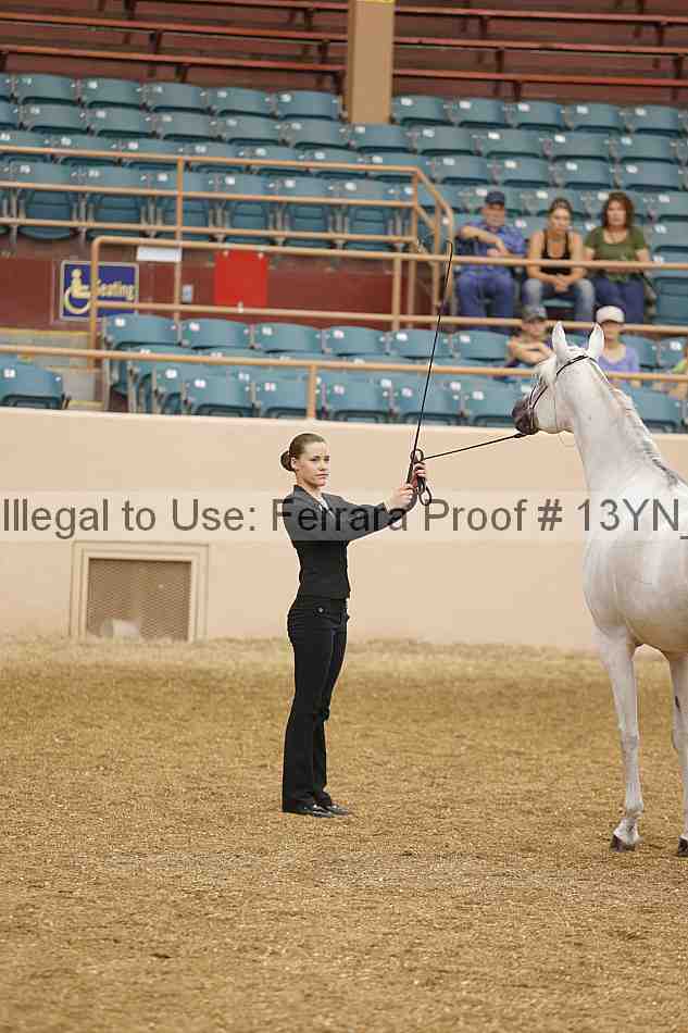 Proof 13yn_00452