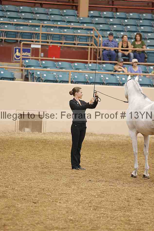 Proof 13yn_00453