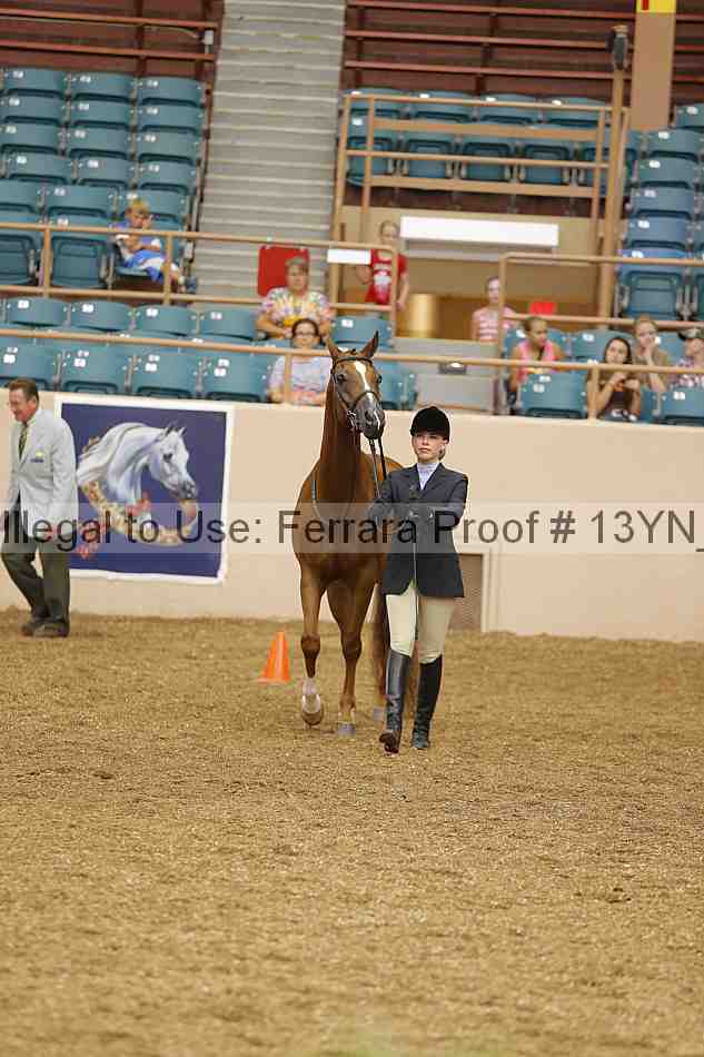 Proof 13yn_00463