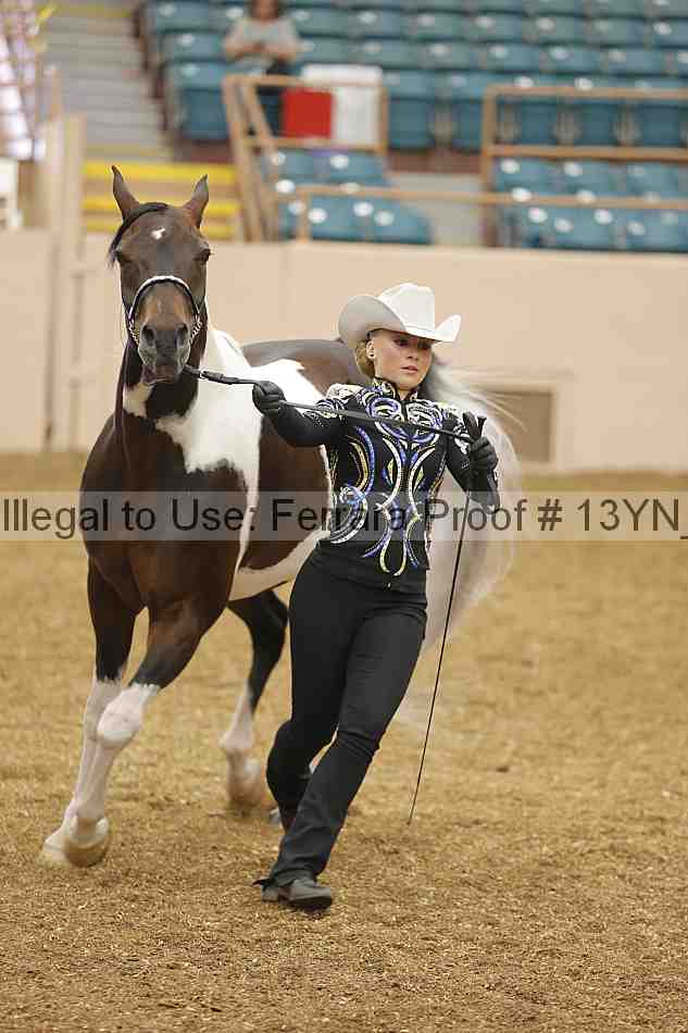 Proof 13yn_00487