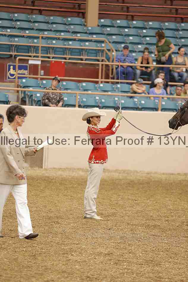 Proof 13yn_00495
