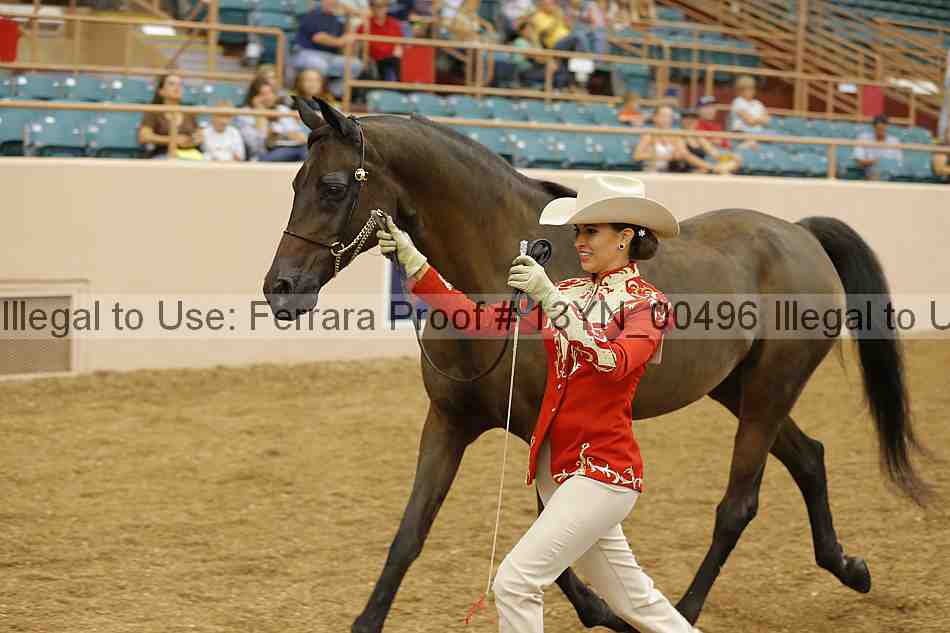 Proof 13yn_00496