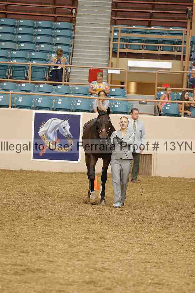 Proof 13yn_00504