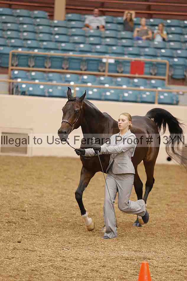 Proof 13yn_00505