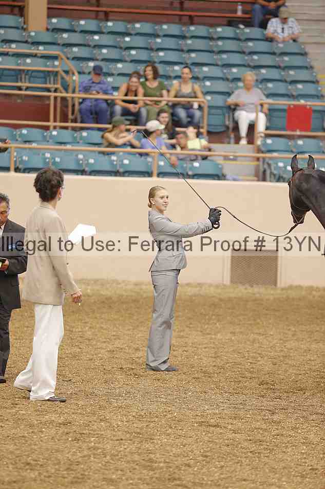 Proof 13yn_00507