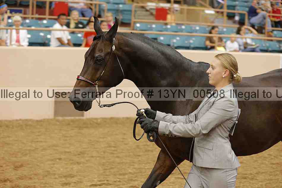 Proof 13yn_00508