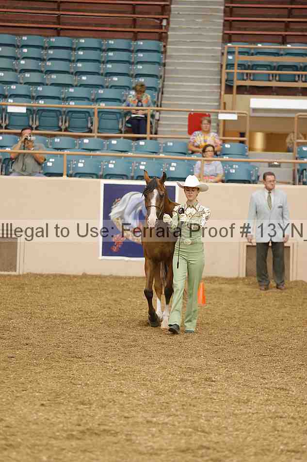 Proof 13yn_00509