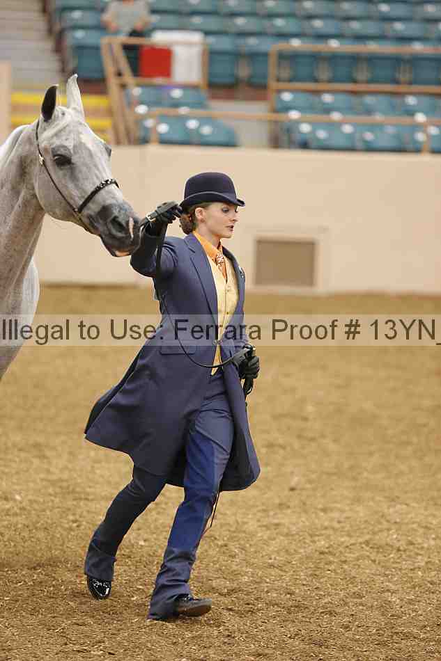 Proof 13yn_00528