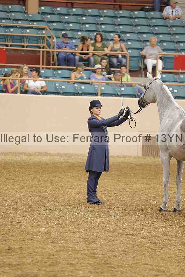 Proof 13yn_00529