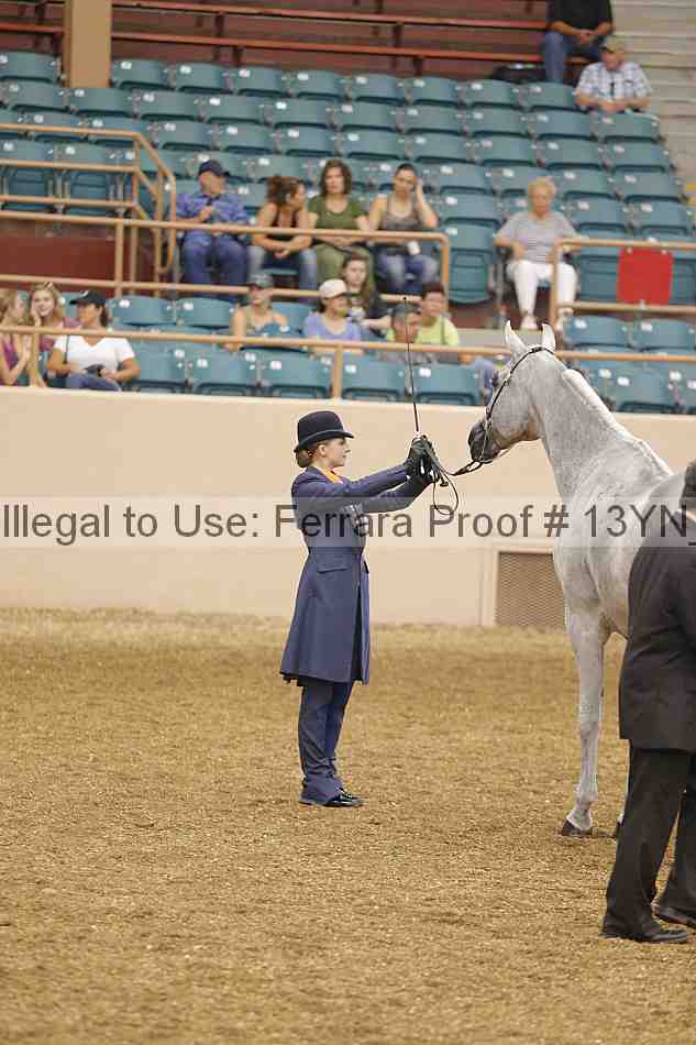 Proof 13yn_00531