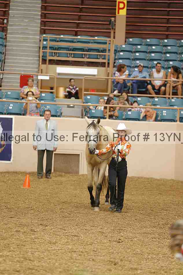 Proof 13yn_00533