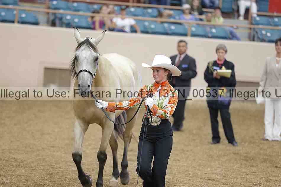 Proof 13yn_00537