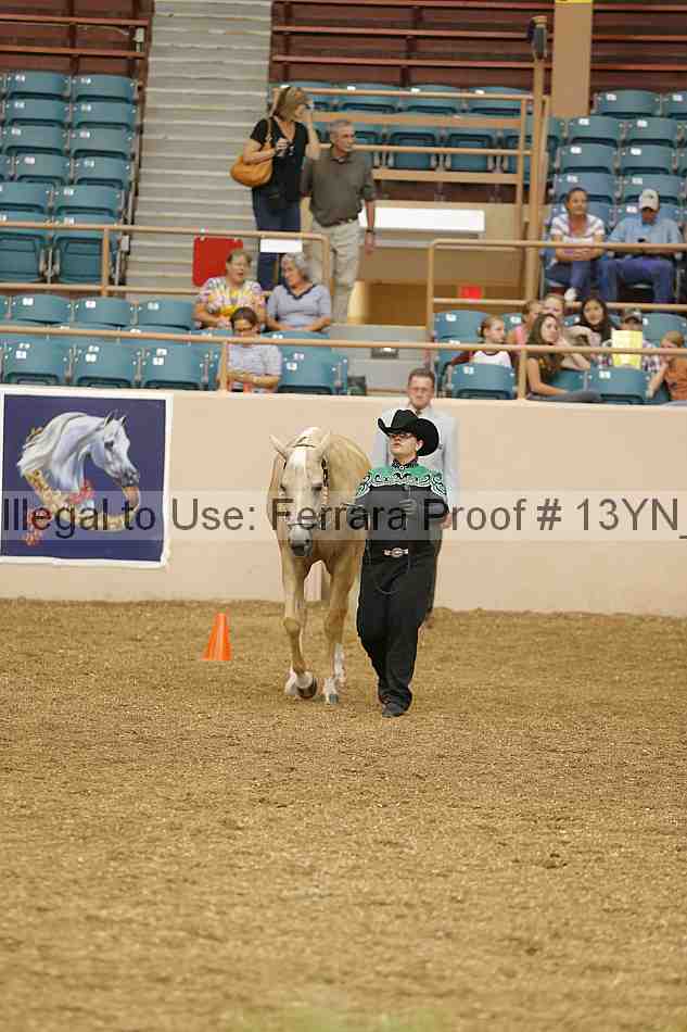 Proof 13yn_00538