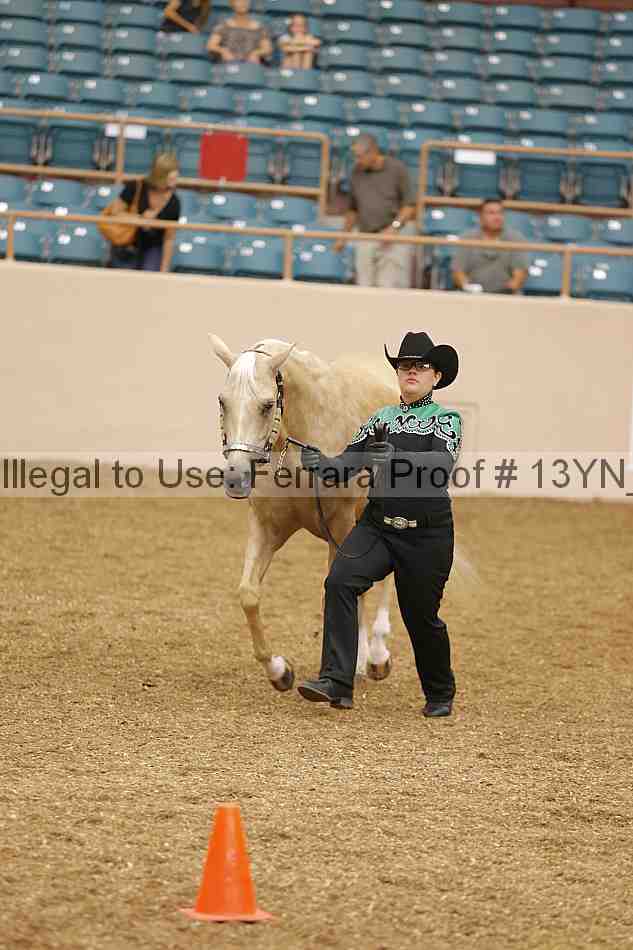 Proof 13yn_00540