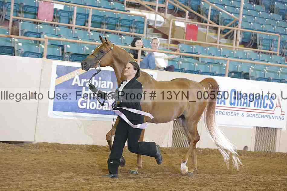 Proof 13yn_00550