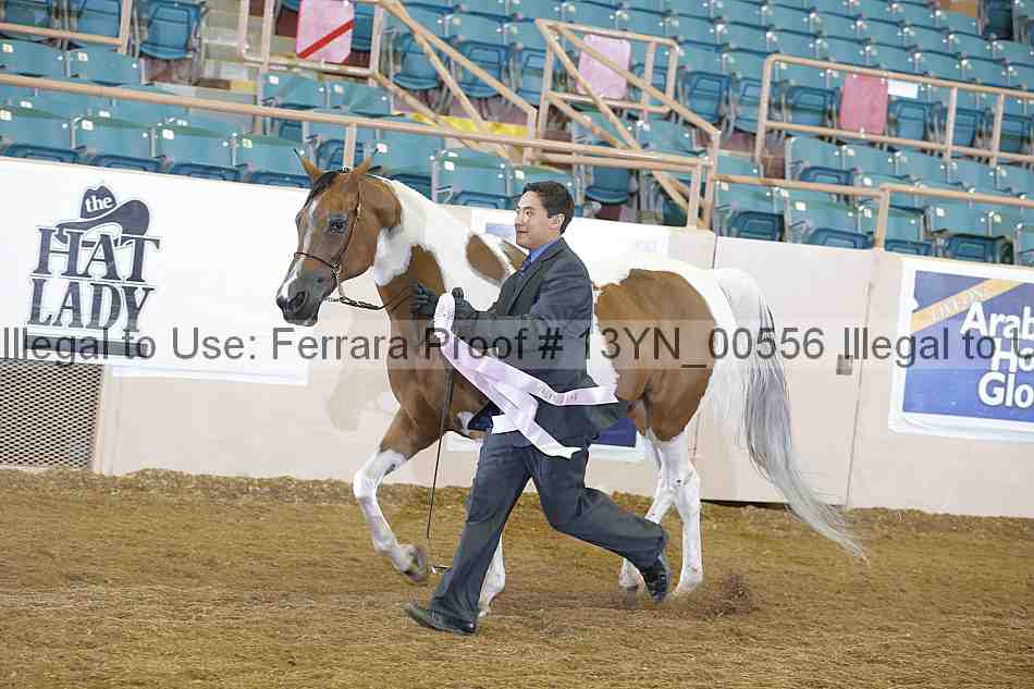 Proof 13yn_00556