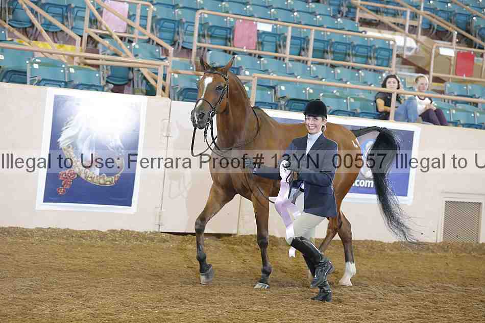 Proof 13yn_00557