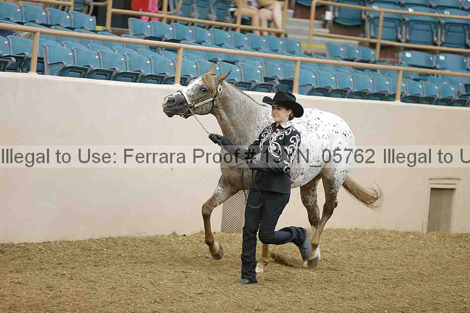 Proof 13yn_05762