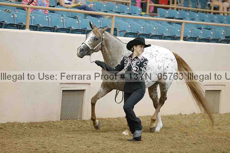 Proof 13yn_05763