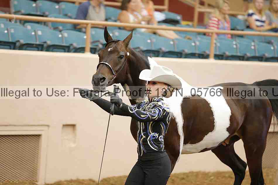Proof 13yn_05766