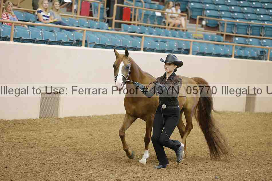 Proof 13yn_05770