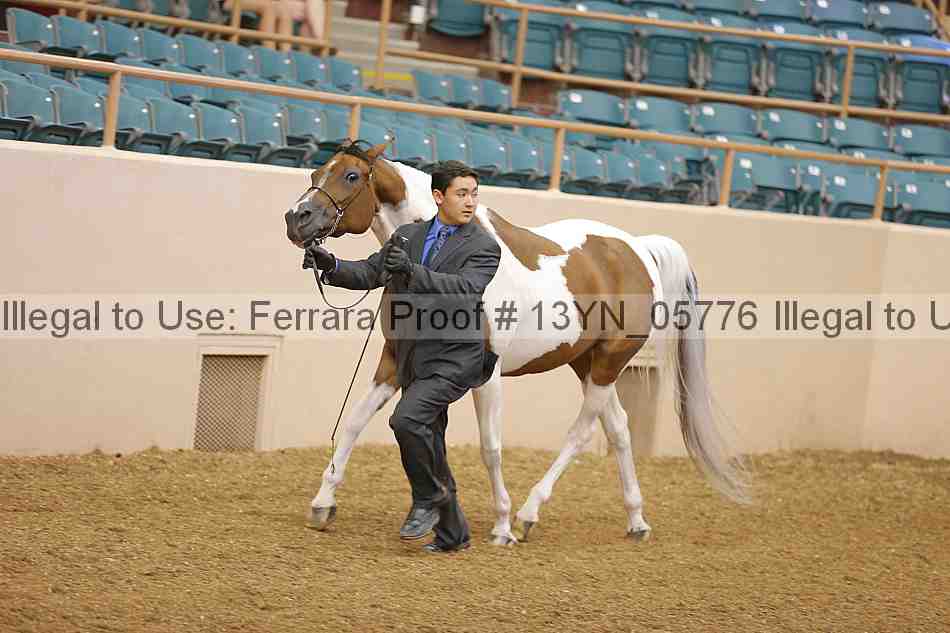 Proof 13yn_05776
