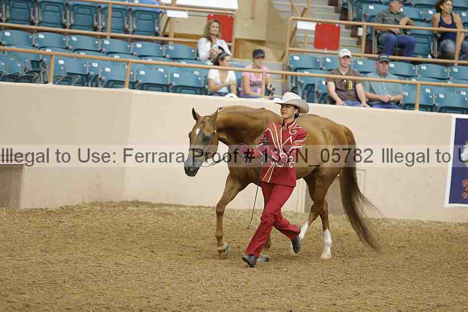 Proof 13yn_05782
