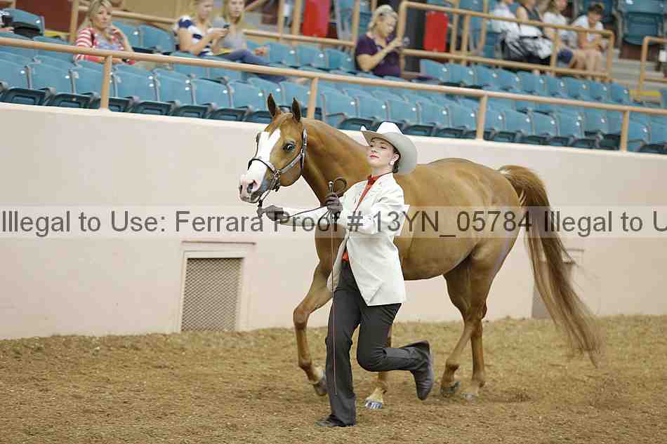 Proof 13yn_05784