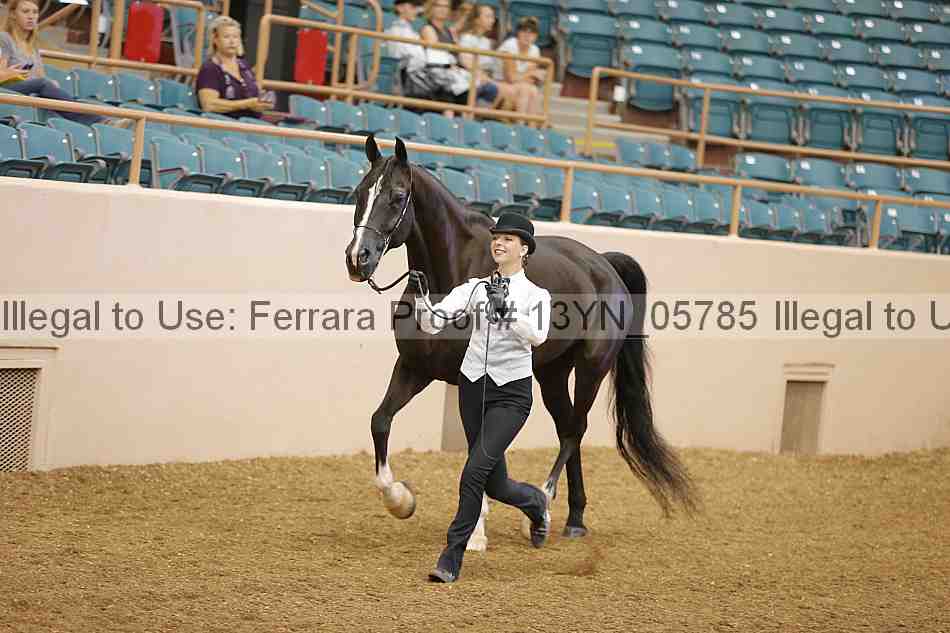 Proof 13yn_05785