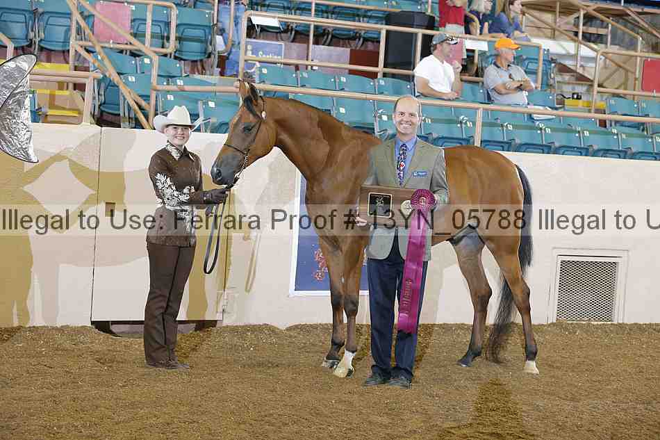 Proof 13yn_05788