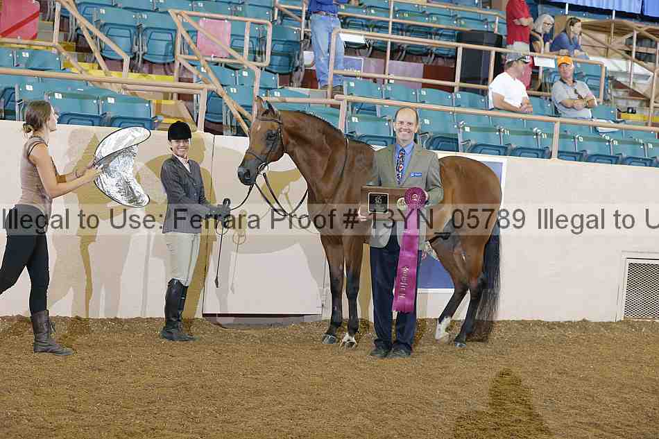 Proof 13yn_05789