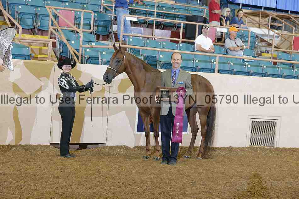 Proof 13yn_05790