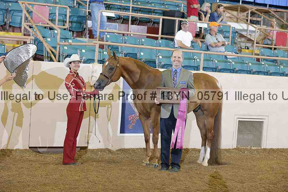 Proof 13yn_05791