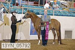 13yn_05792 proof