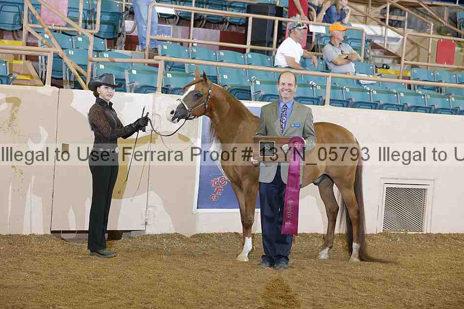 Proof 13yn_05793