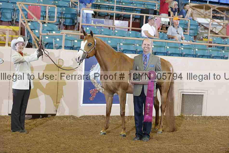 Proof 13yn_05794