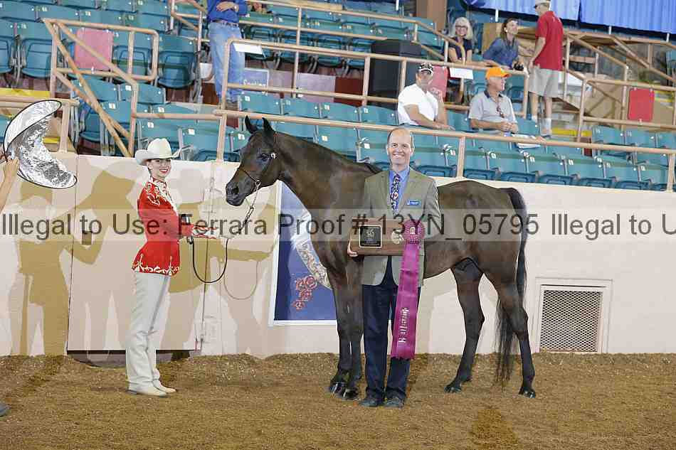 Proof 13yn_05795