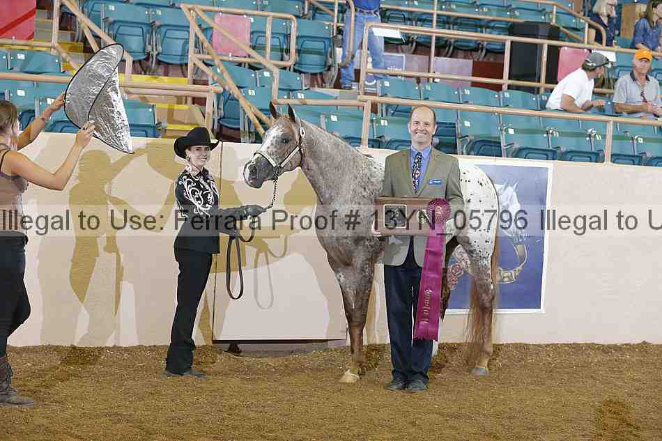 Proof 13yn_05796