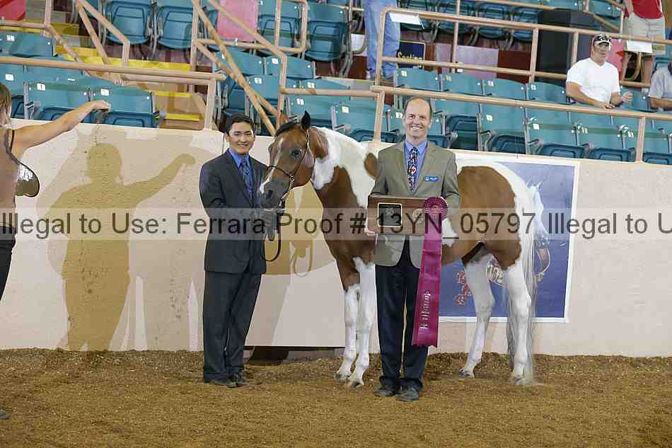 Proof 13yn_05797