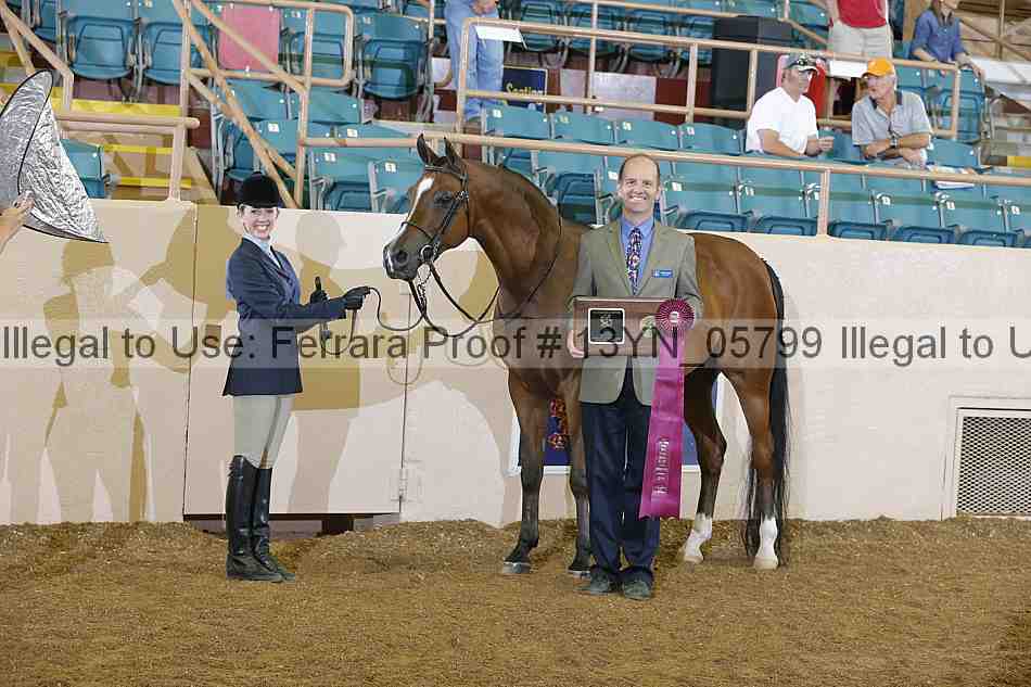 Proof 13yn_05799