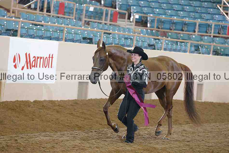 Proof 13yn_05802