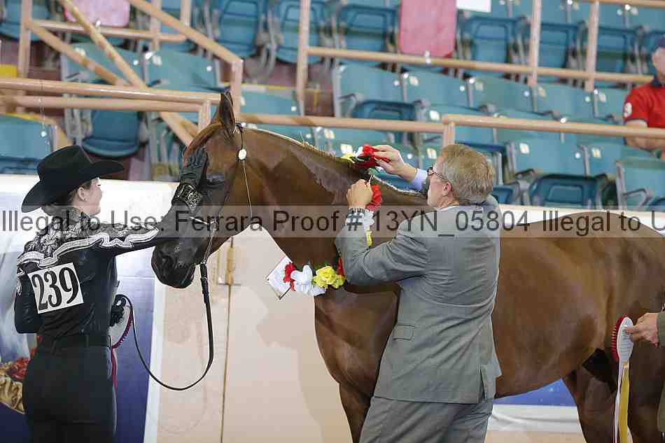 Proof 13yn_05804