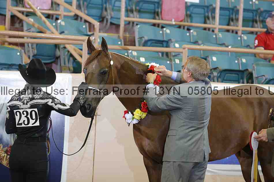 Proof 13yn_05805