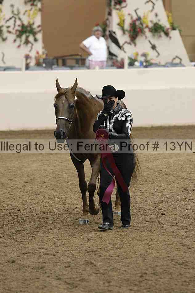 Proof 13yn_05806
