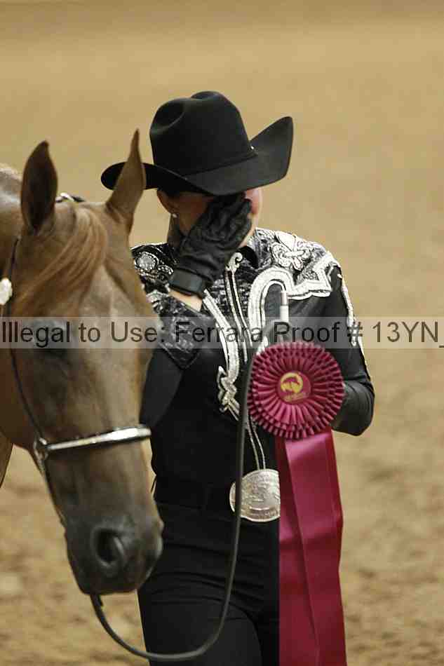 Proof 13yn_05809