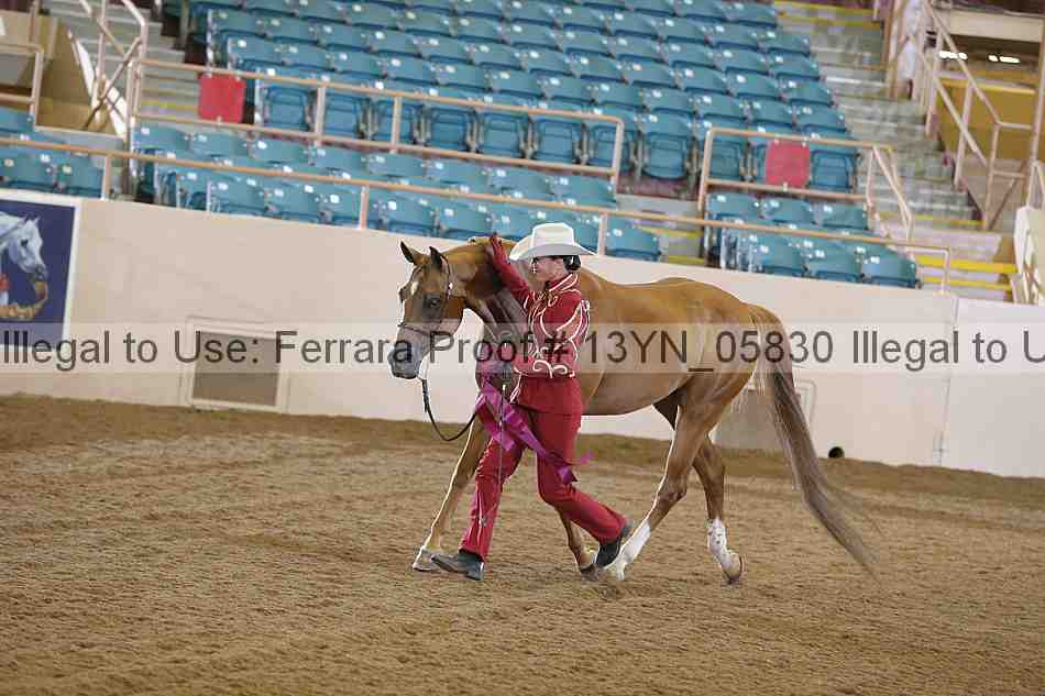 Proof 13yn_05830