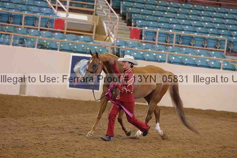 Proof 13yn_05831