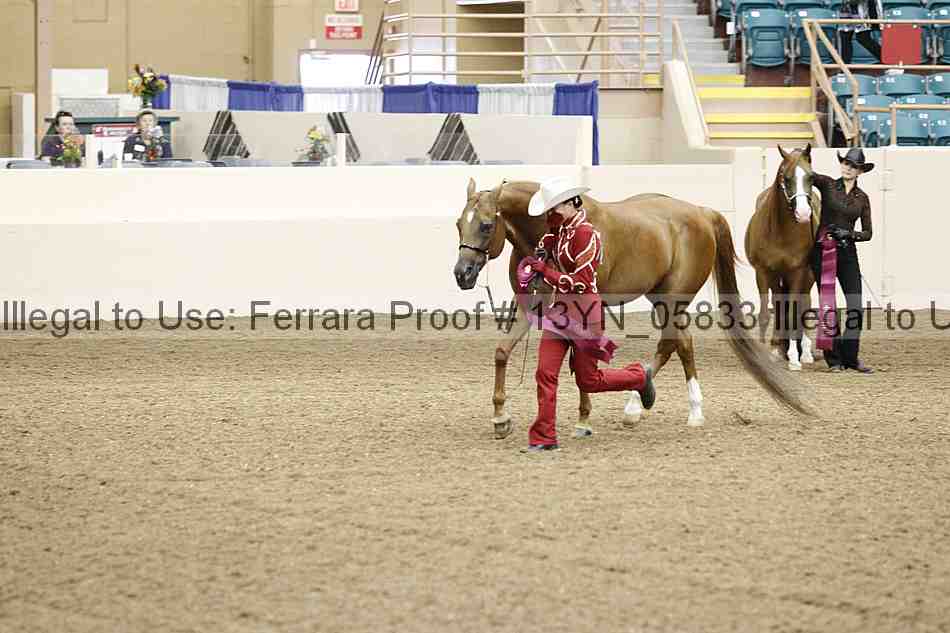 Proof 13yn_05833