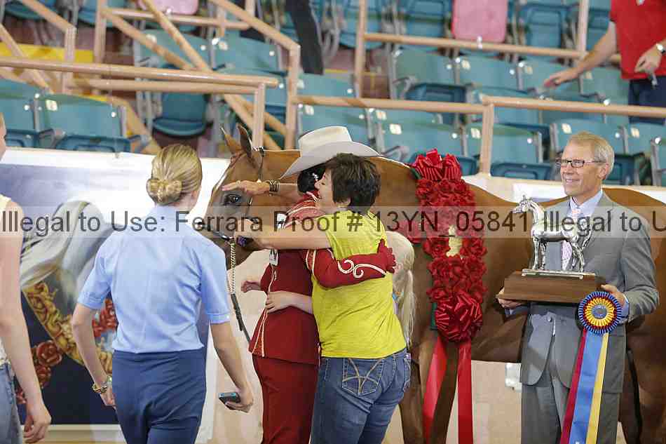 Proof 13yn_05841